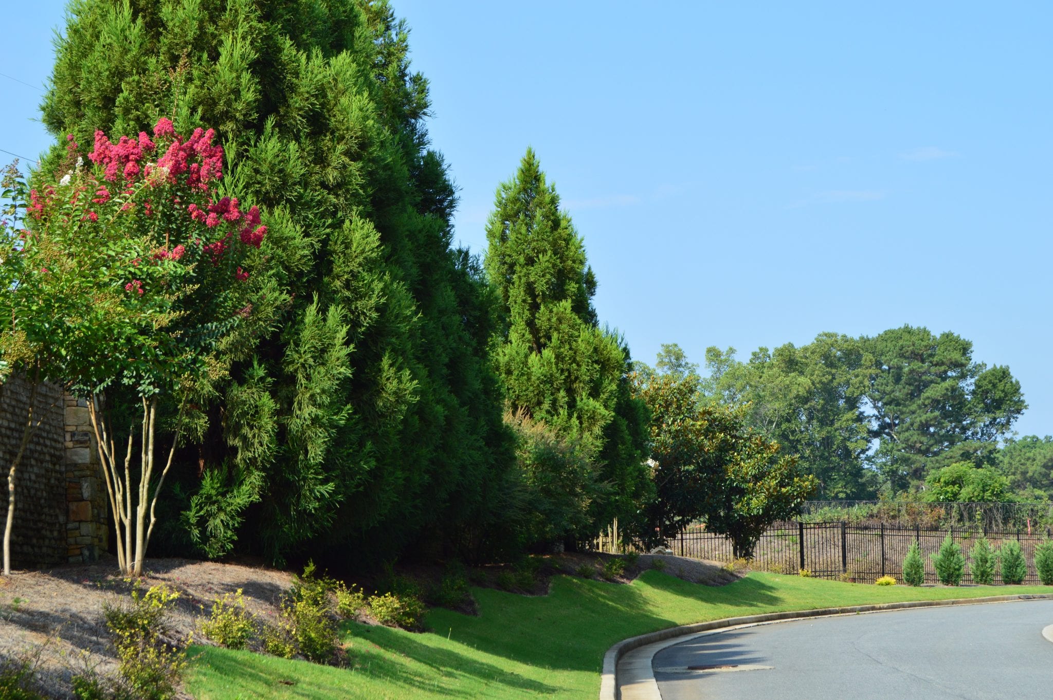 Stone Hall Cobb County Estate Homes in Walton High School District